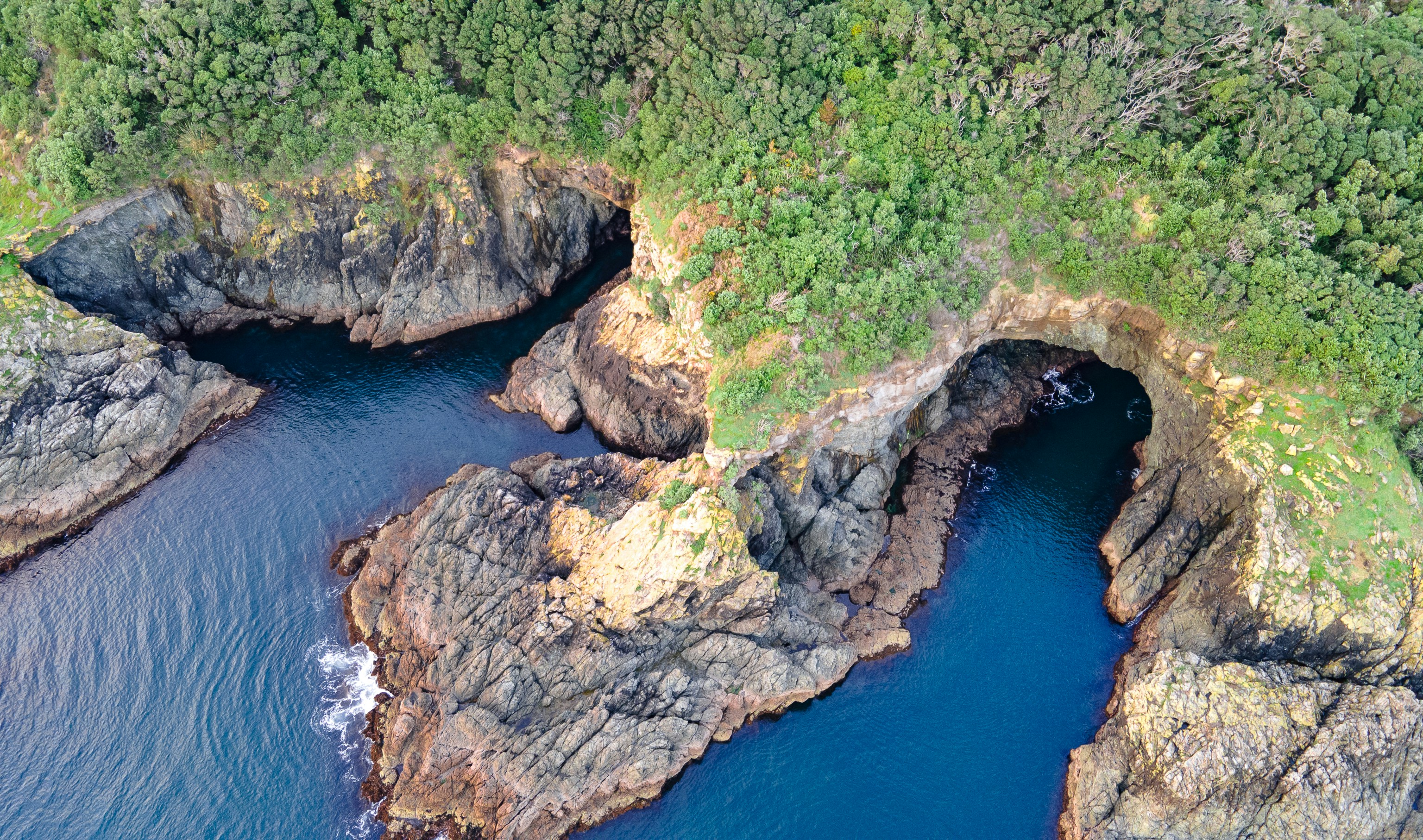 a river with rocks and plants, 