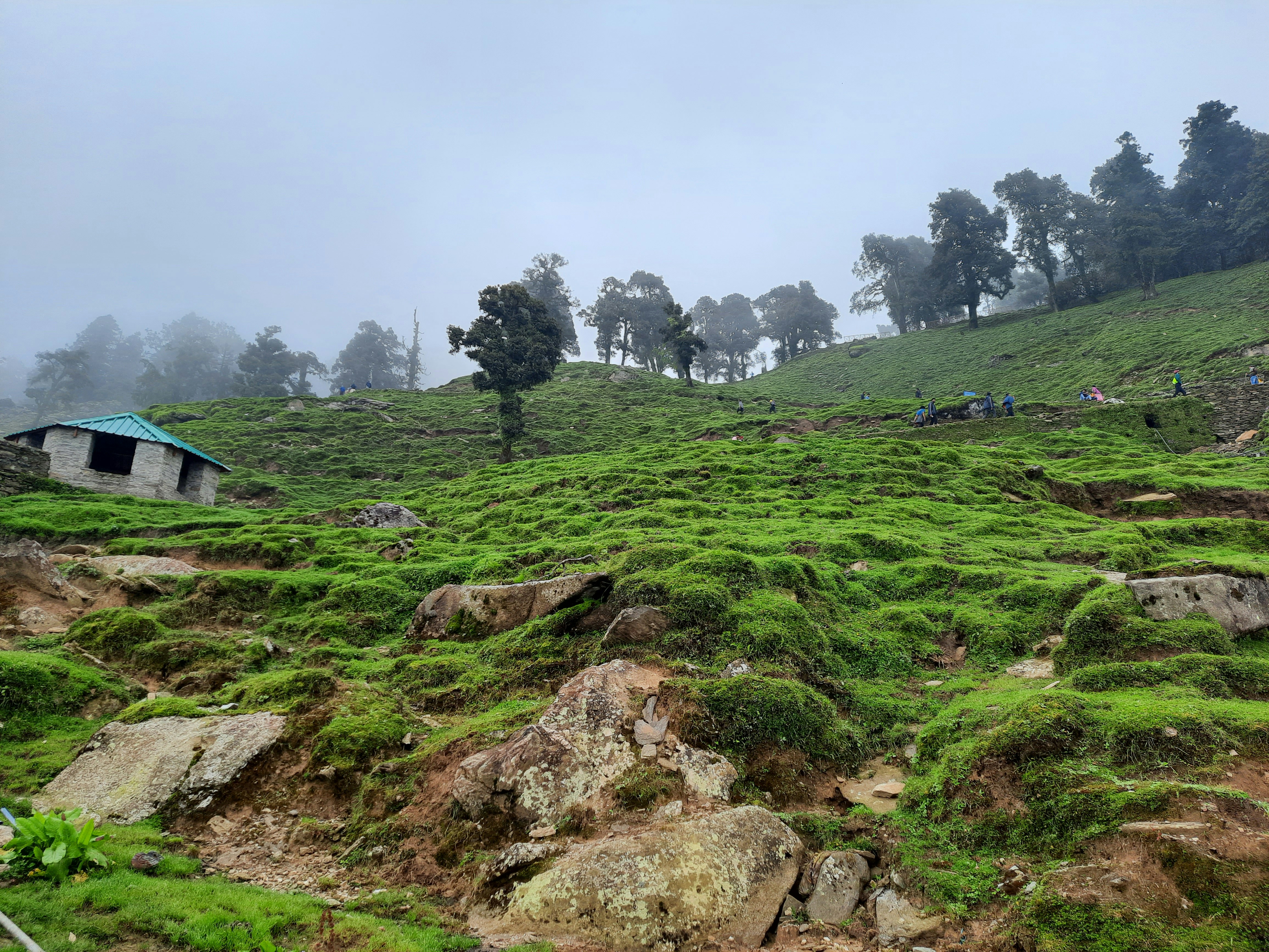 Photo by mkvaghasiya