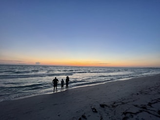 people walking on a beach