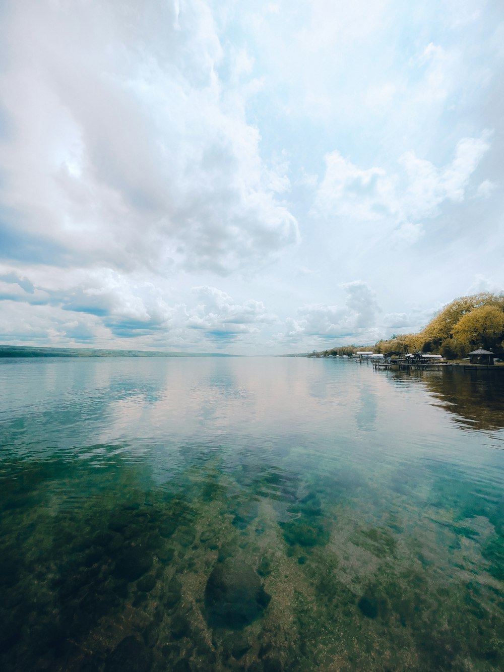 a body of water with trees around it