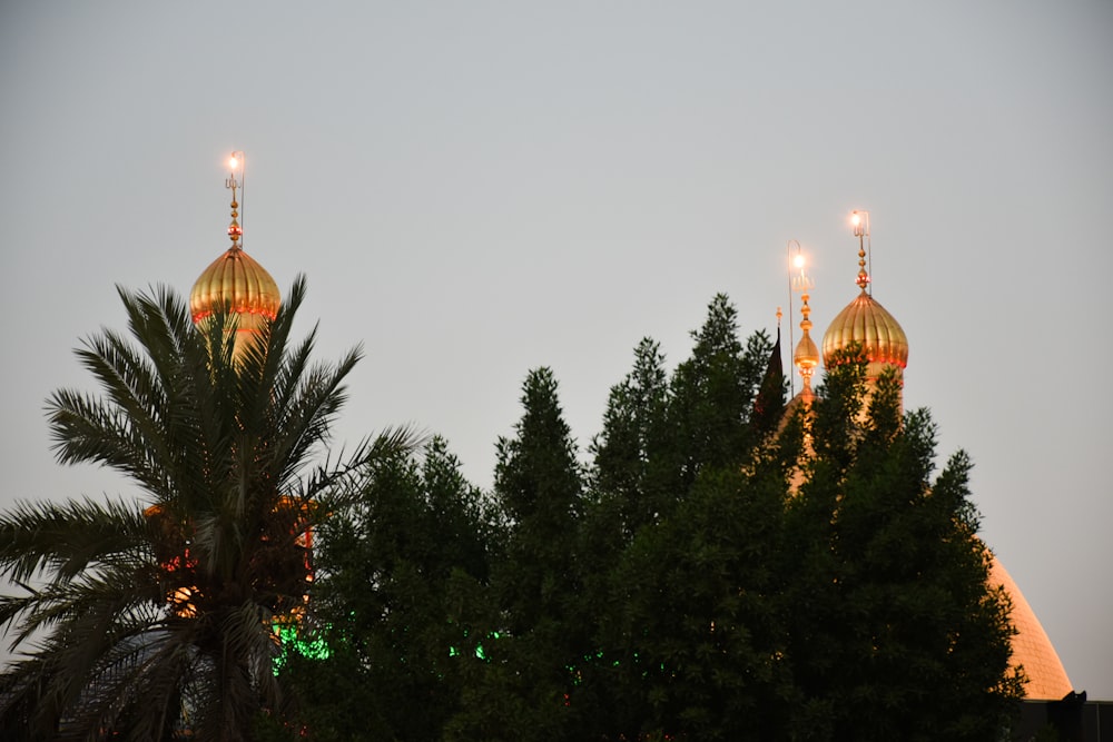 a group of trees with a domed building in the background