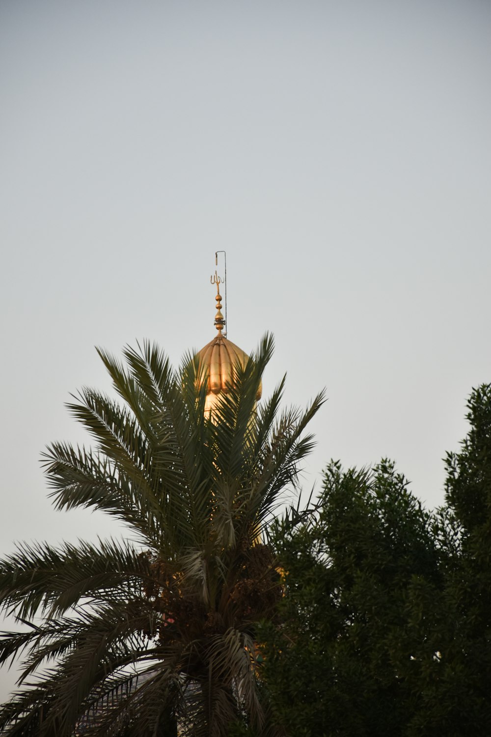 a tall pointy tower behind trees