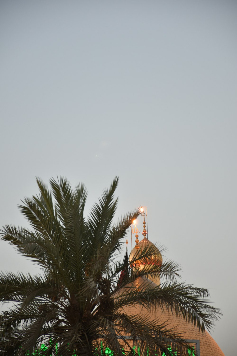 Ein hohes Gebäude mit einem spitzen Turm und einem Baum davor