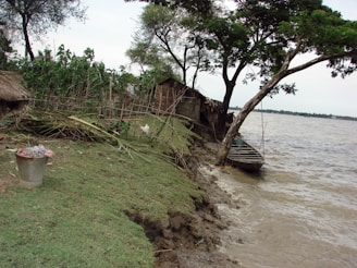 A rural riverside scene features a grassy bank showing signs of erosion with a small wooden boat moored to a tree. Sparse vegetation, including crops and a lone tree, surrounds a weathered hut made from natural materials. A metal bucket with items inside is visible on the ground, and there's a white chicken roaming in the grass near the eroding bank.