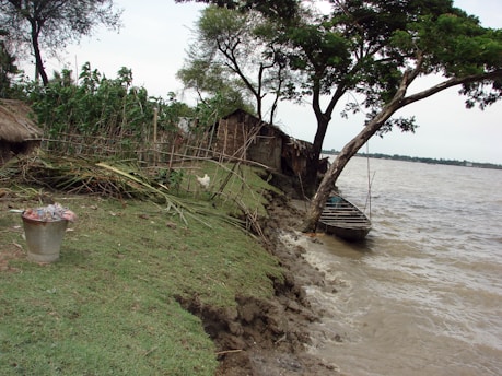A rural riverside scene features a grassy bank showing signs of erosion with a small wooden boat moored to a tree. Sparse vegetation, including crops and a lone tree, surrounds a weathered hut made from natural materials. A metal bucket with items inside is visible on the ground, and there's a white chicken roaming in the grass near the eroding bank.