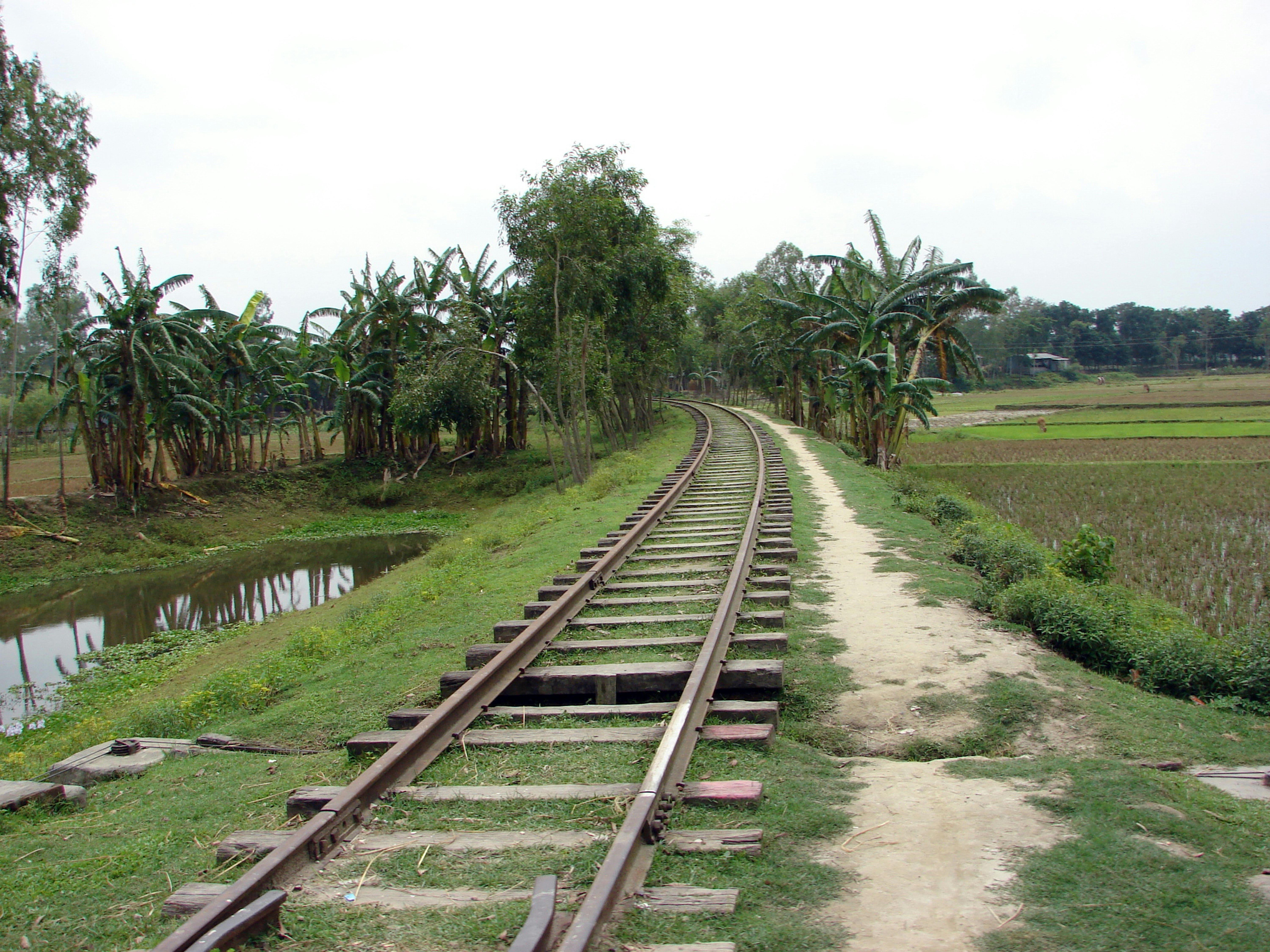Supreme Court Dismisses Lalu Yadav's Plea on Land-for-Jobs Scam