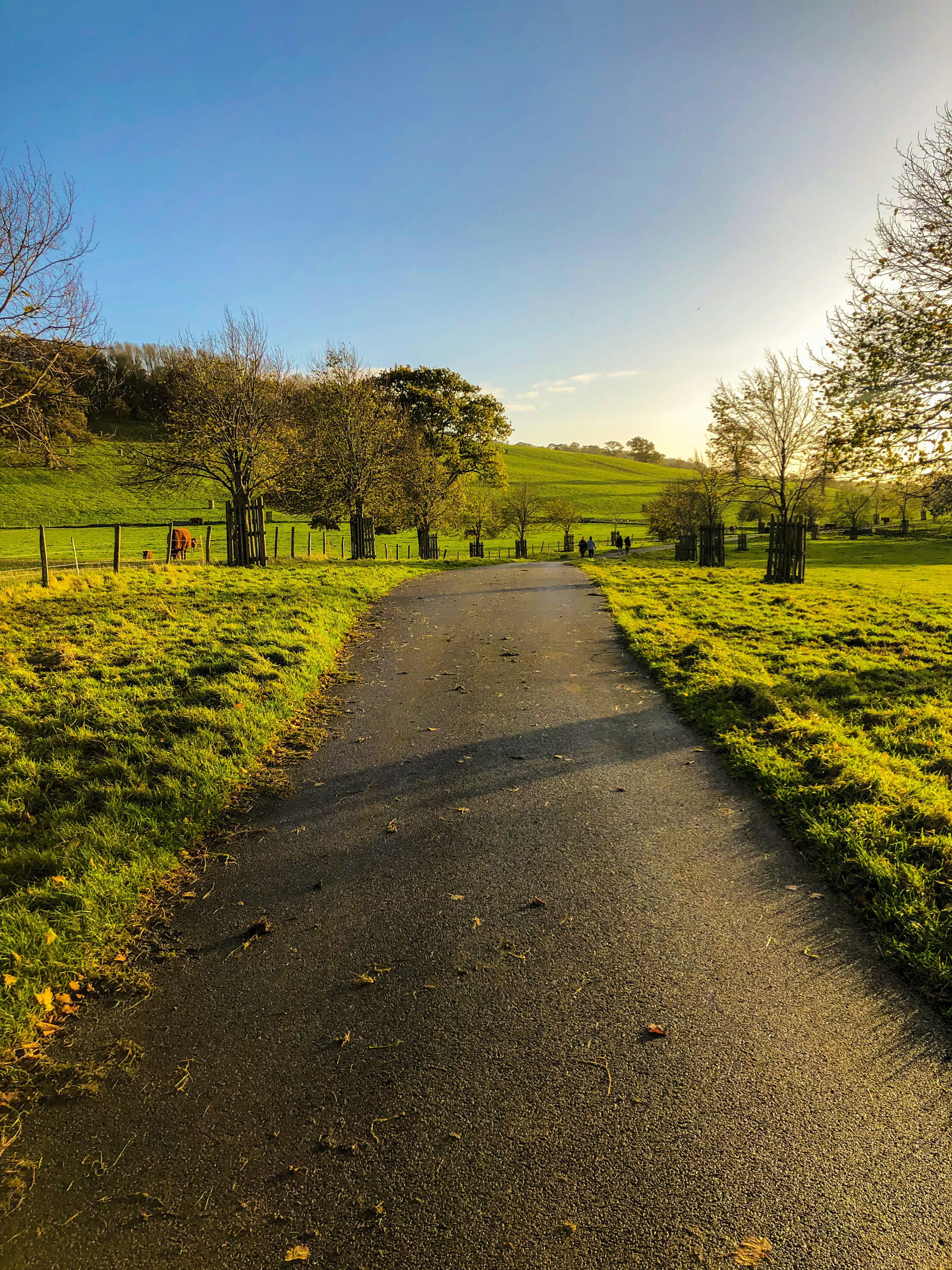 Photo by nisheshjaiswal