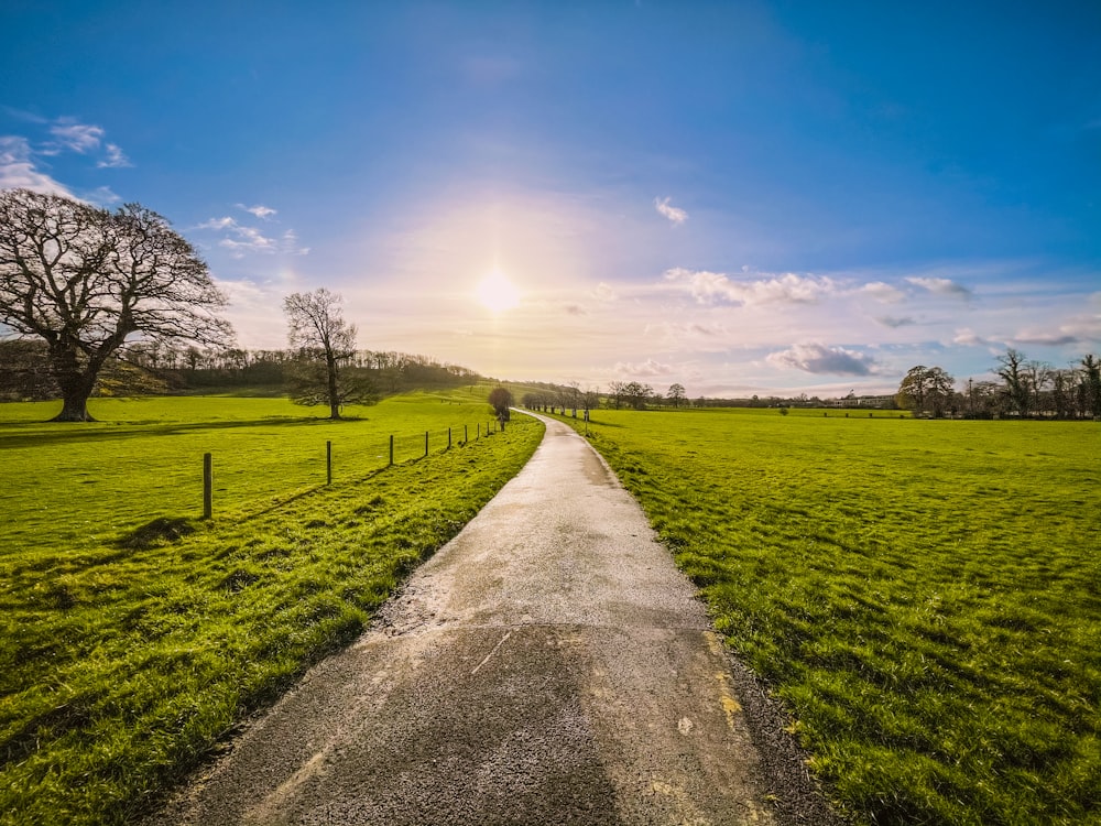 a road with grass and trees on the side