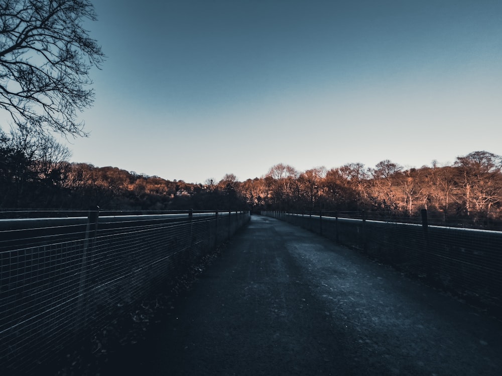 a road with trees on the side