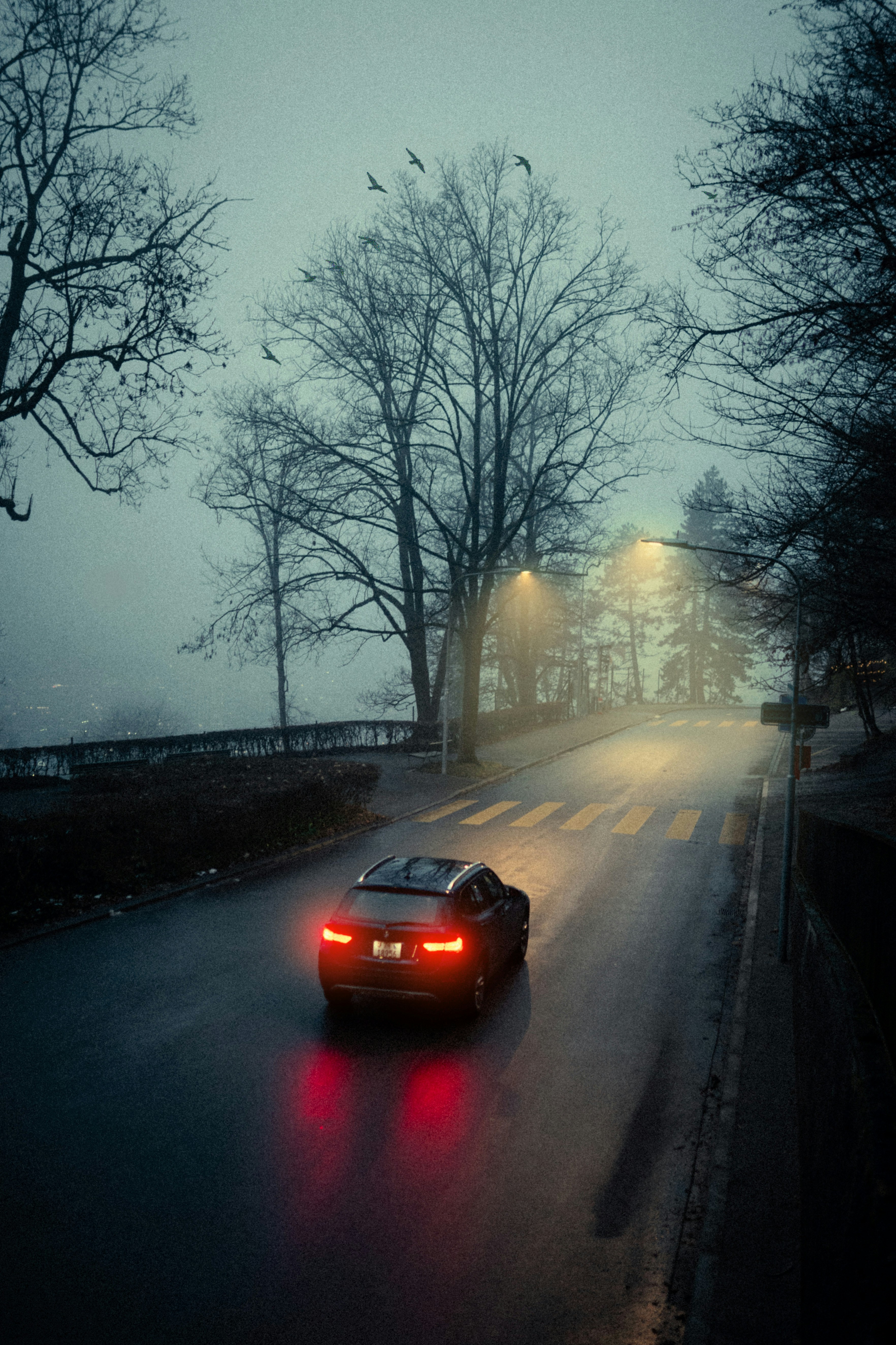 Photo by lui1s6