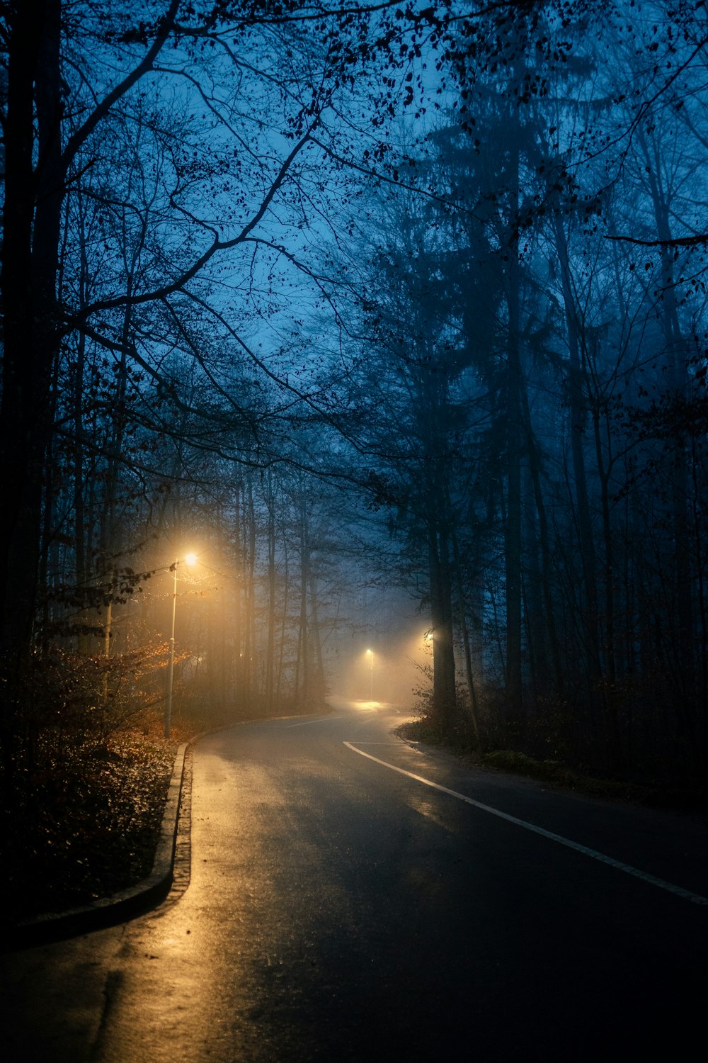 a road with trees on either side