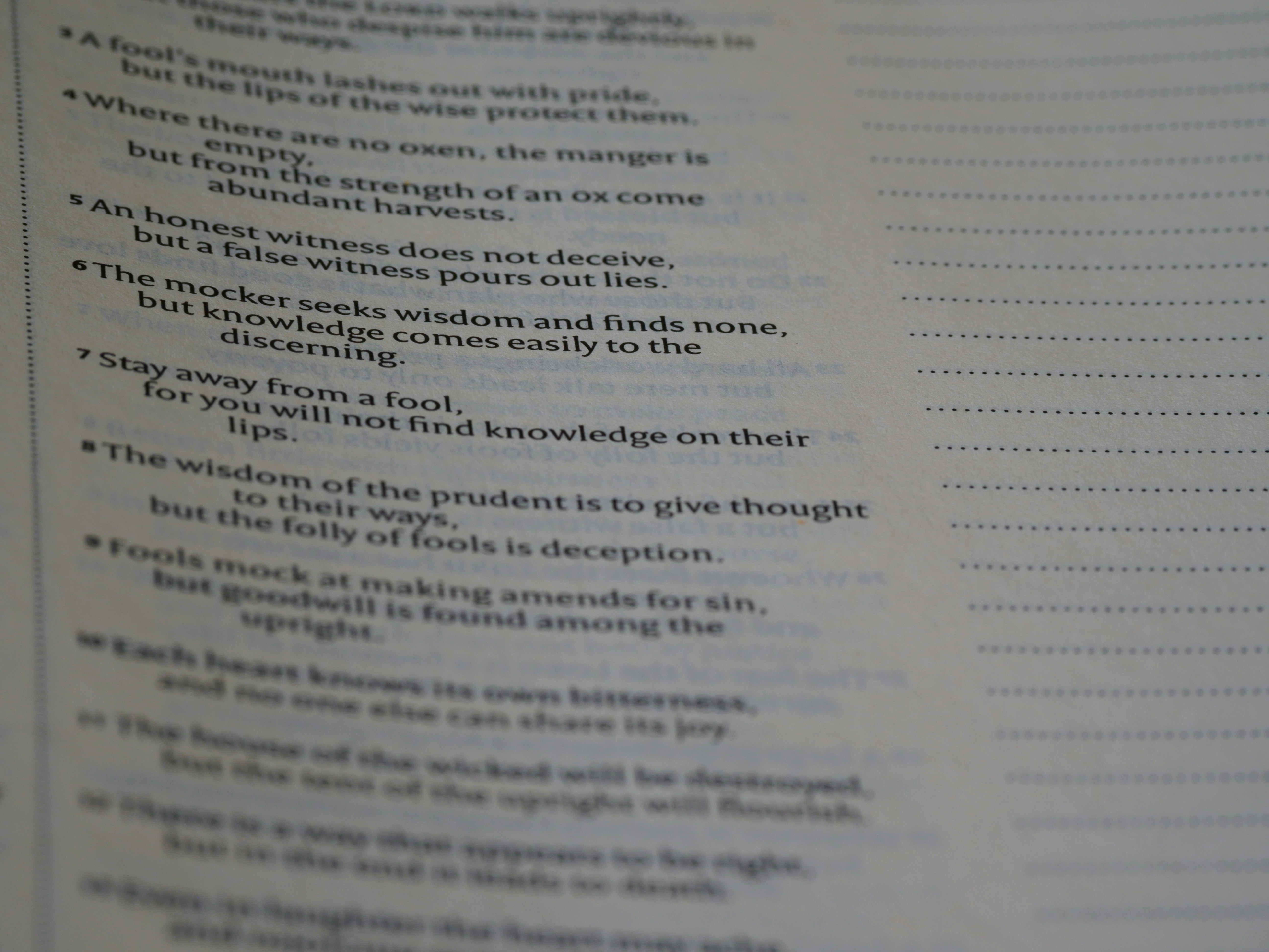 Photo by brett_jordan