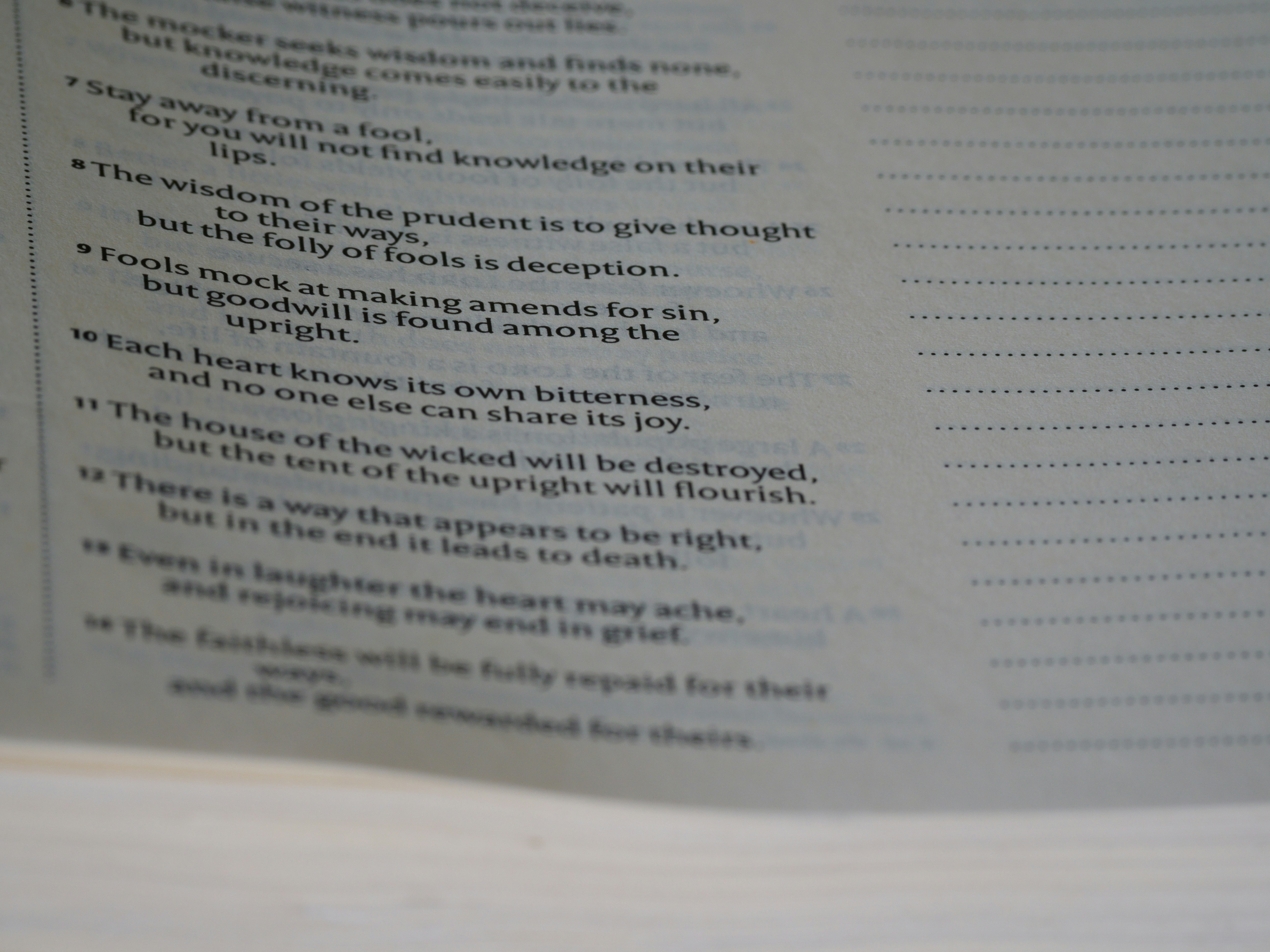 close up, bokeh, macro, blur, blurred background, close focus, bible, old testament, hebrew bible, christian, judaism, history, text, reading, bible study, devotions, text, NIV, New International Version, type, typography, canon, christianity, holy scripture, holy bible, scripture, old testament, hebrew bible, מִשְלֵי, book of proverbs, proverbs of solomon, wisdom literature, ketuvim, anthology, solomon, wisdom, sayings, mashai, folly, values, morality, proverbs, proverb, life skills, ancient wisdom, hebrew wisdom, <br />