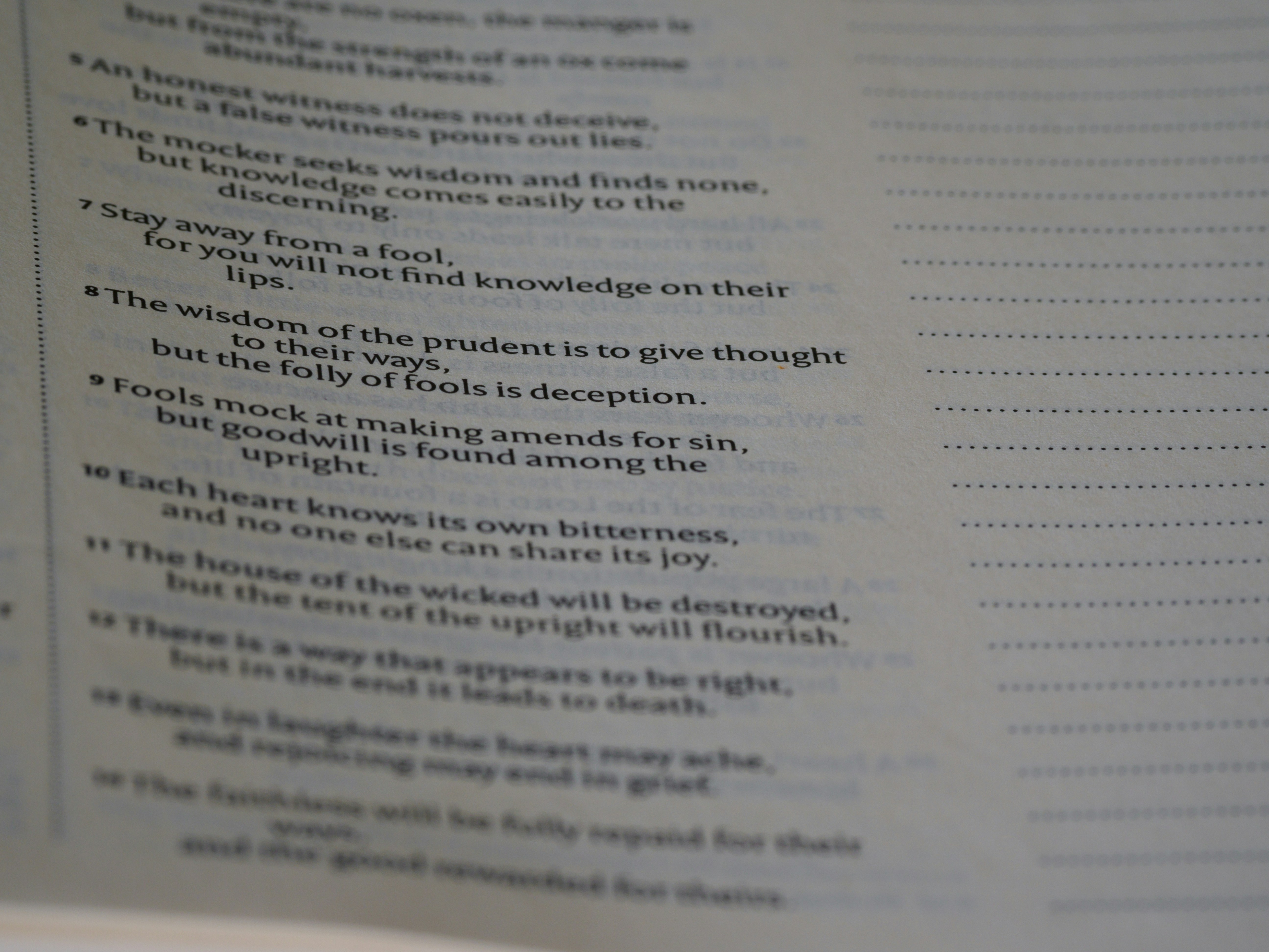 Photo by brett_jordan