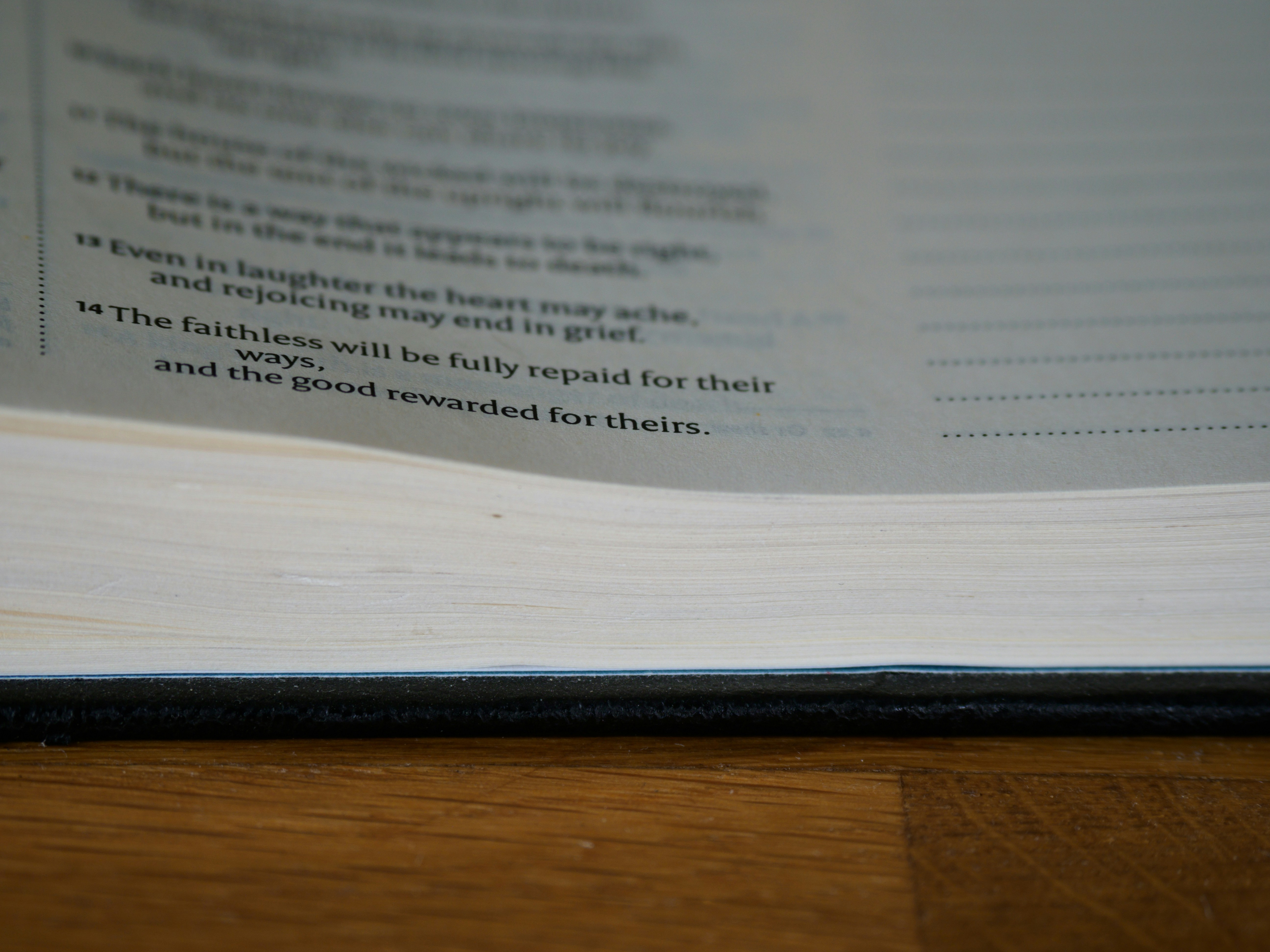 Photo by brett_jordan