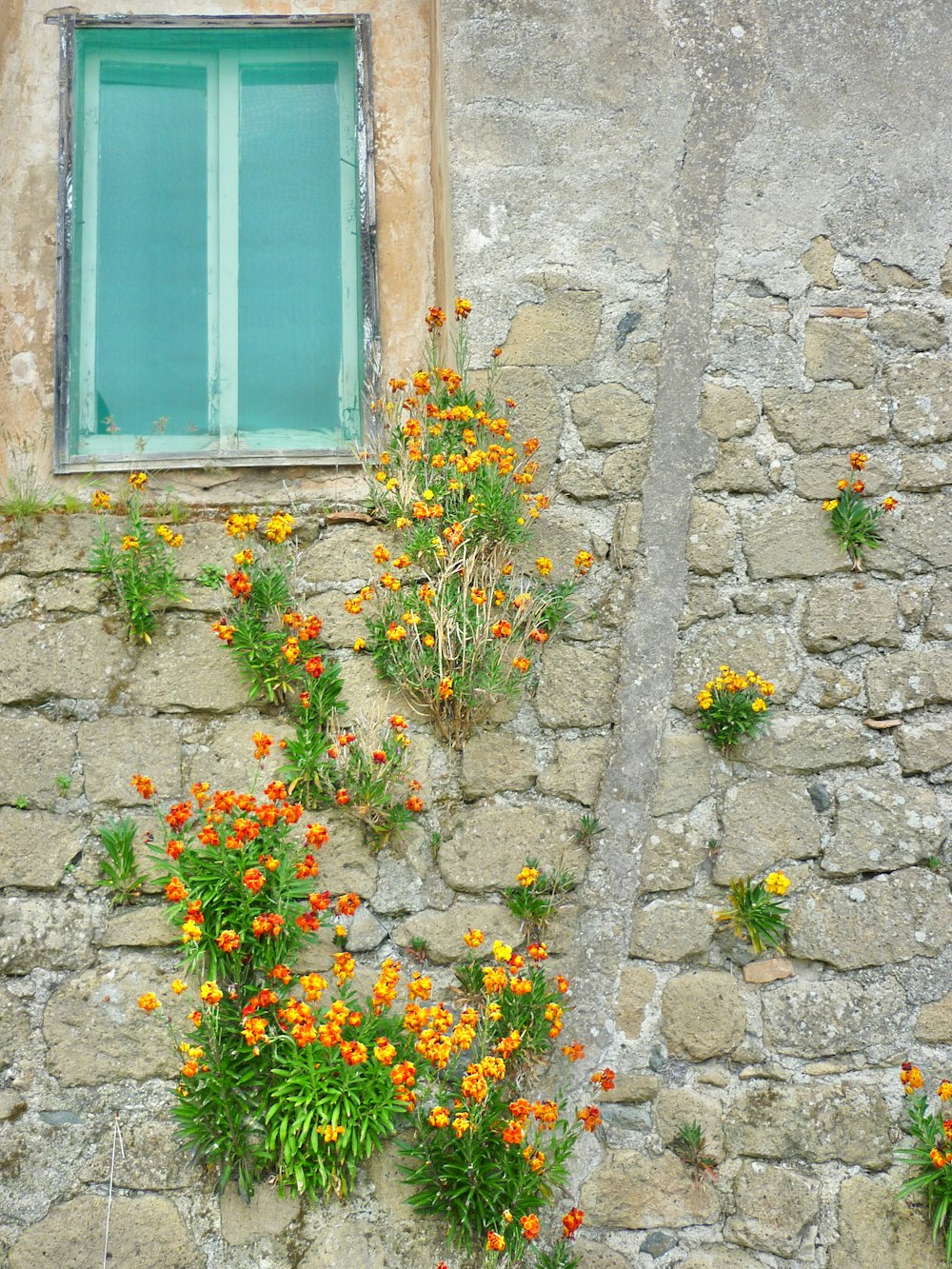 a window with flowers and a plant