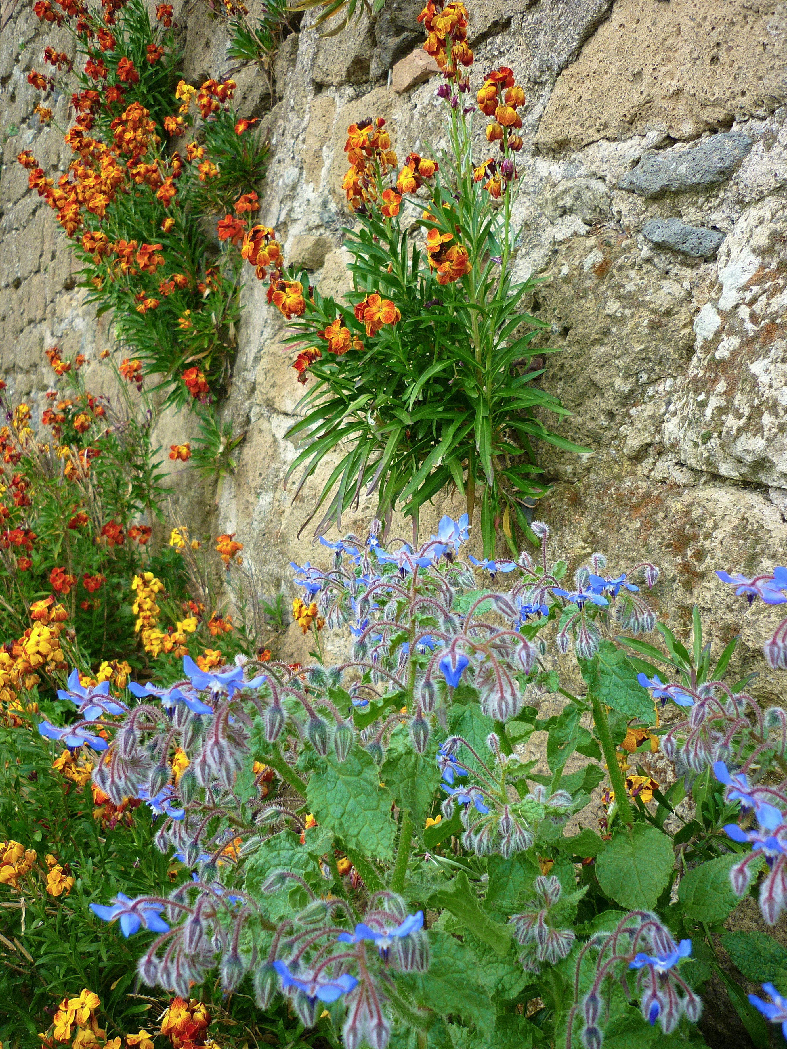 Image of David Johnson