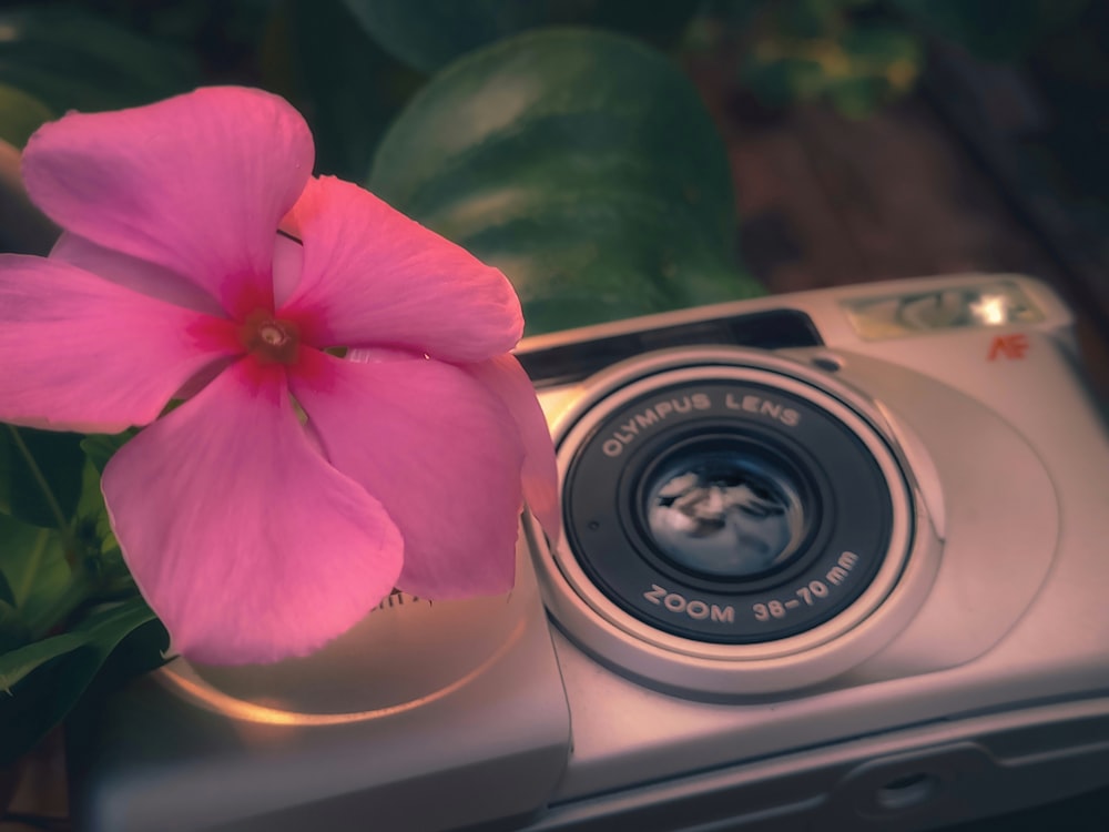 a pink flower on a camera
