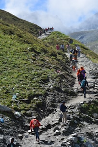 a group of people hiking