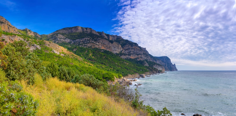 a body of water with hills and trees around it