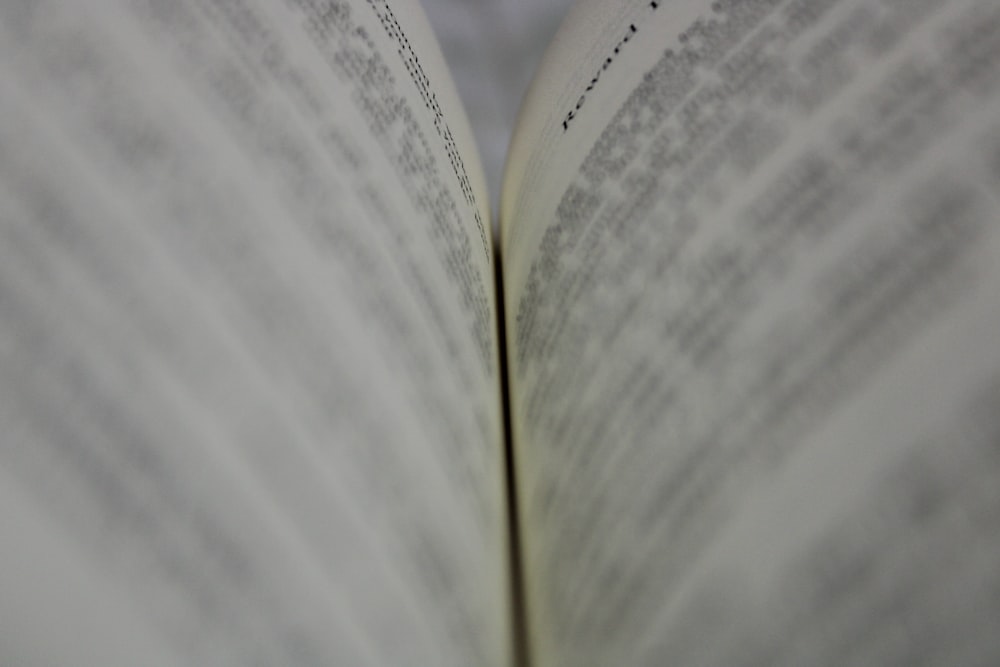 a close-up of a book