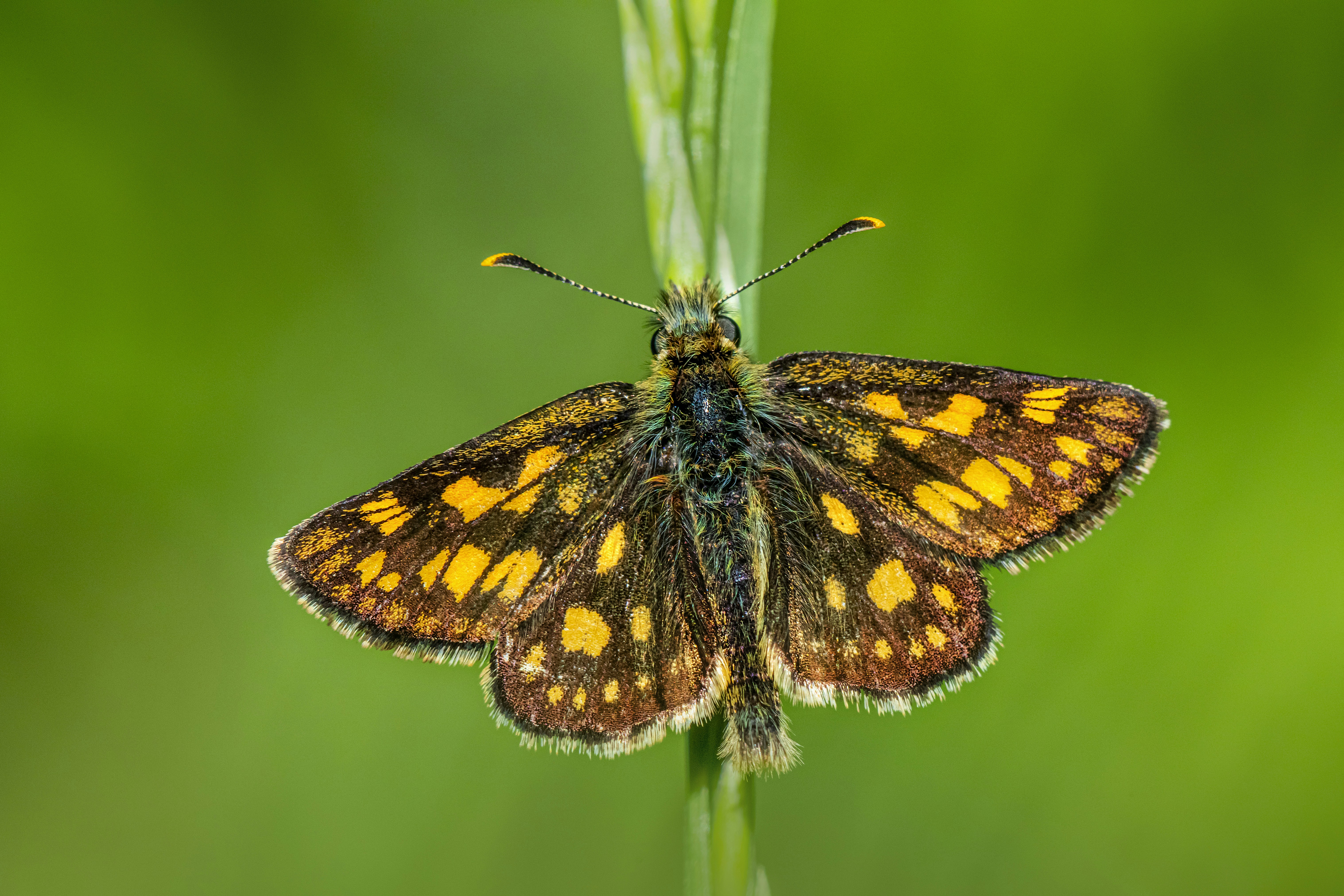 Photo by erik_karits