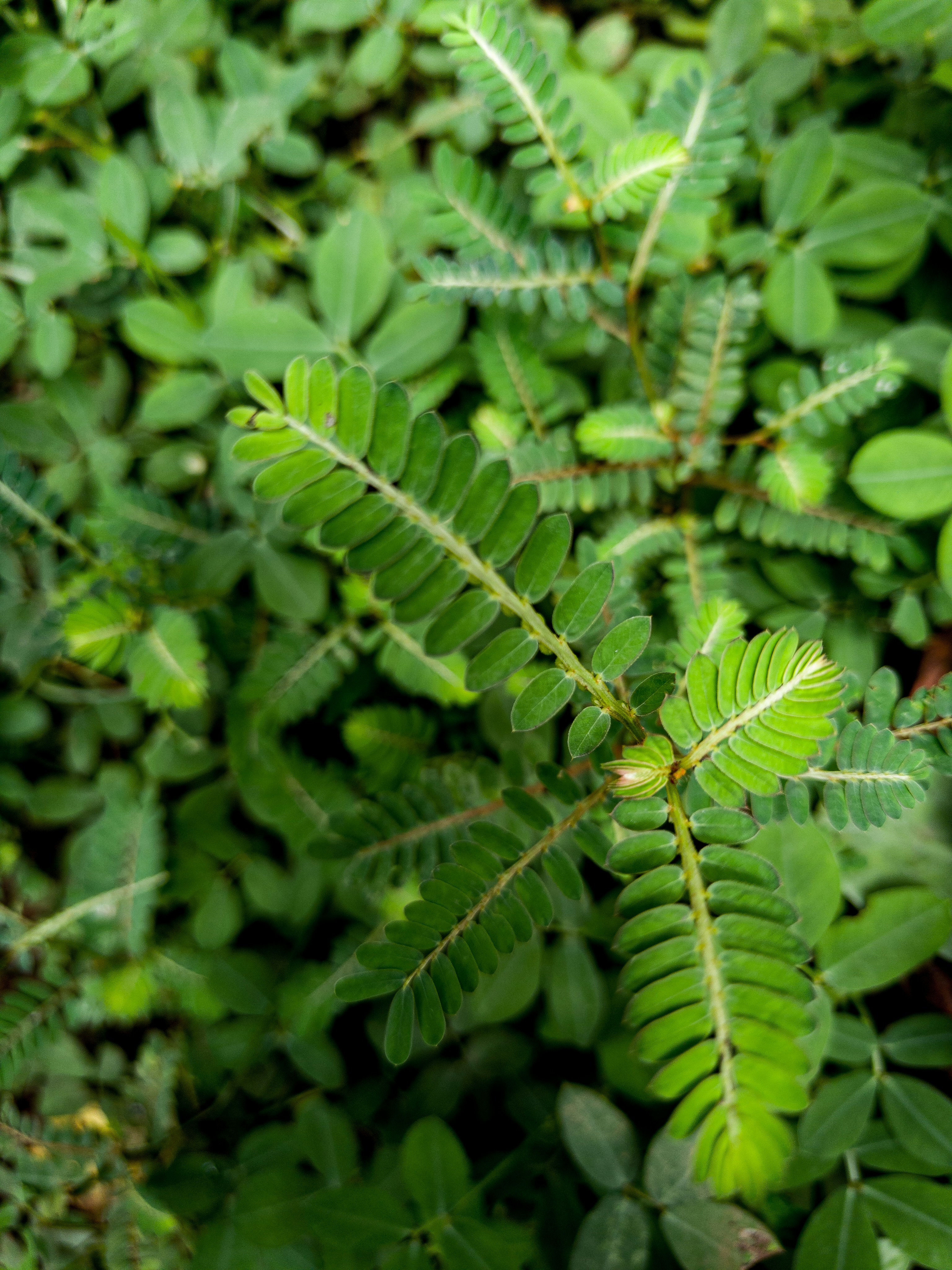 Photo by design_grader