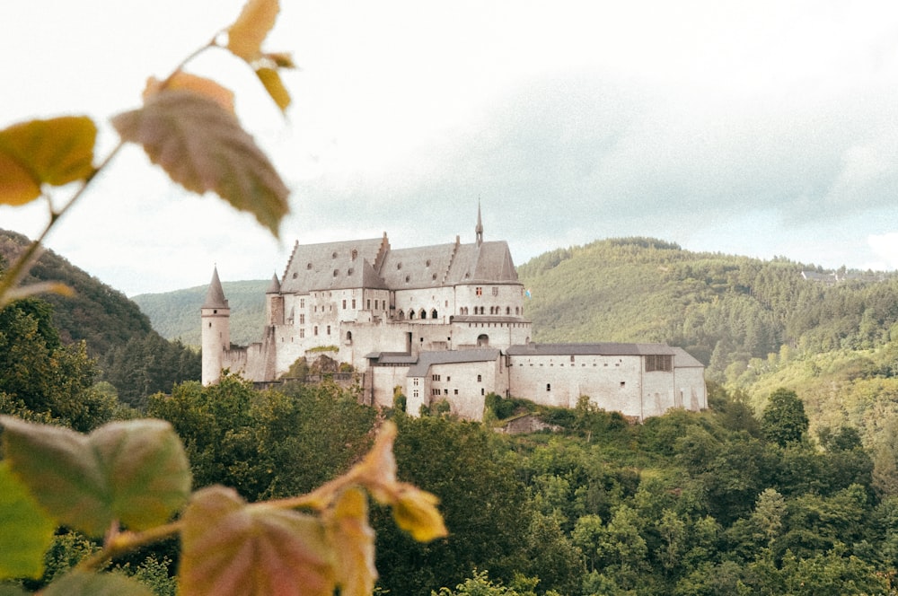 a castle on a hill