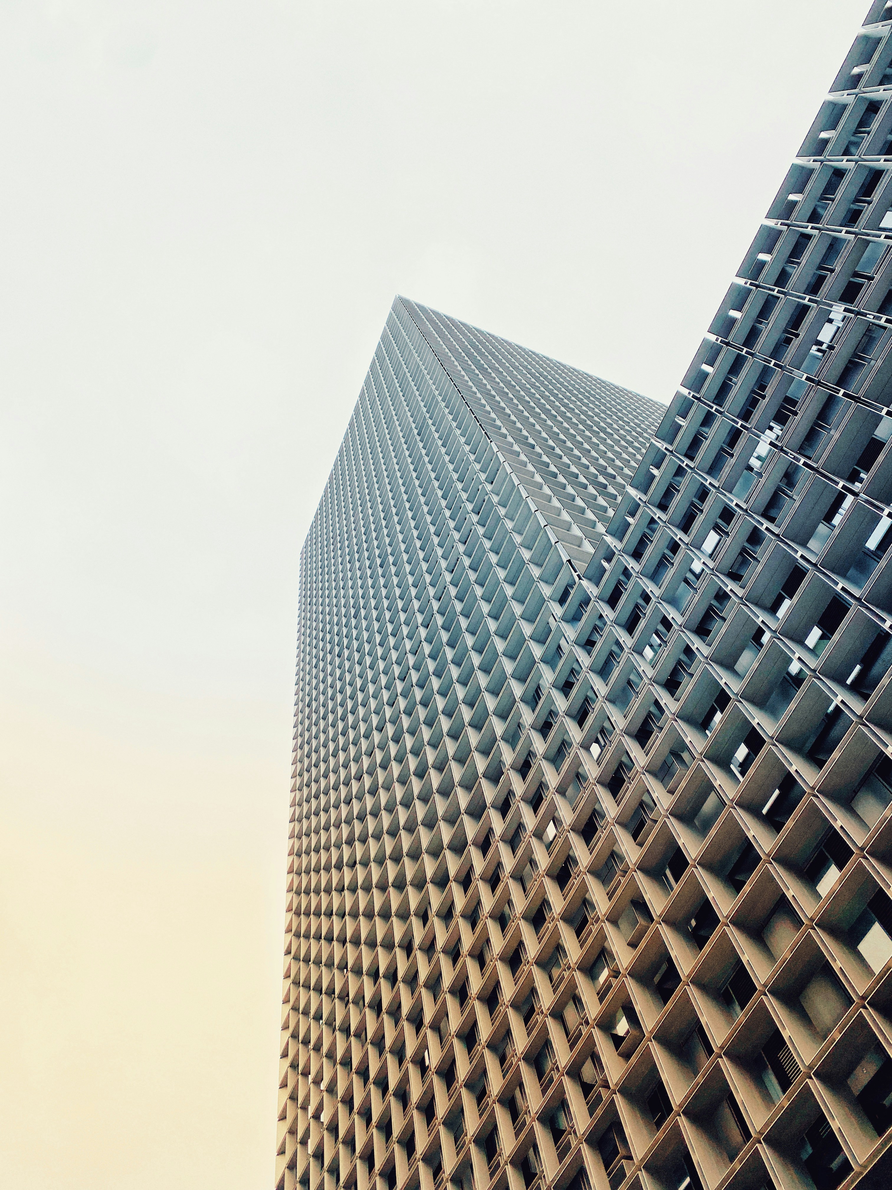 Photo by lauraseidlitz