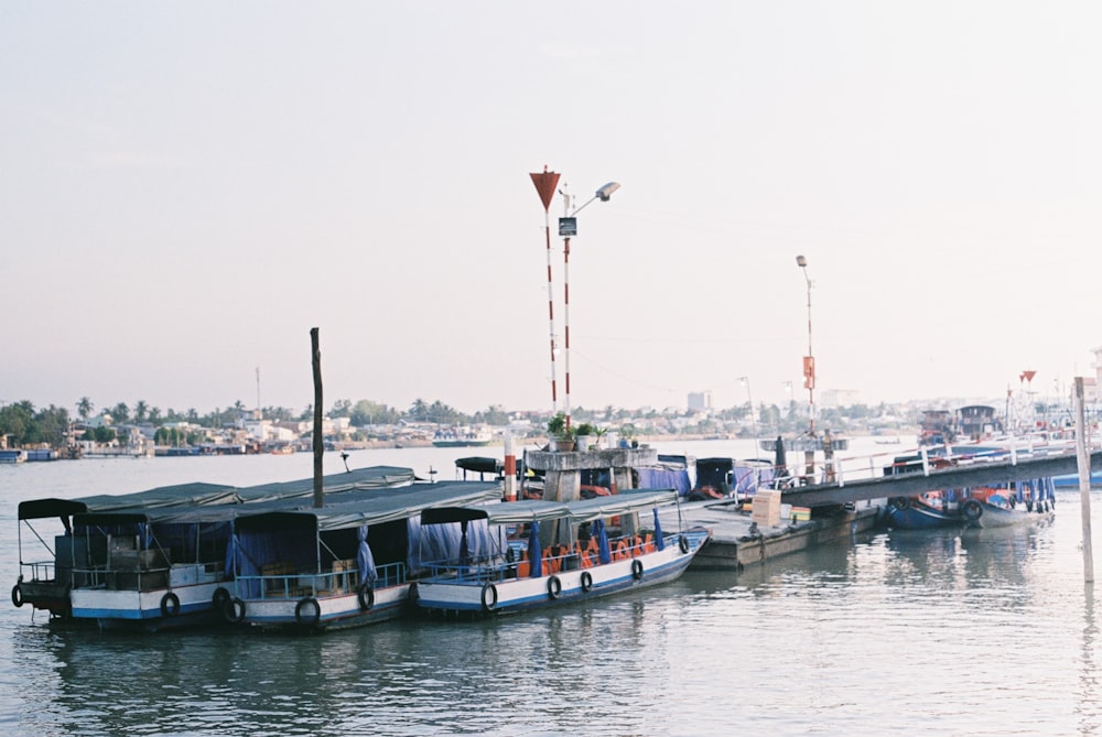 boats in the water