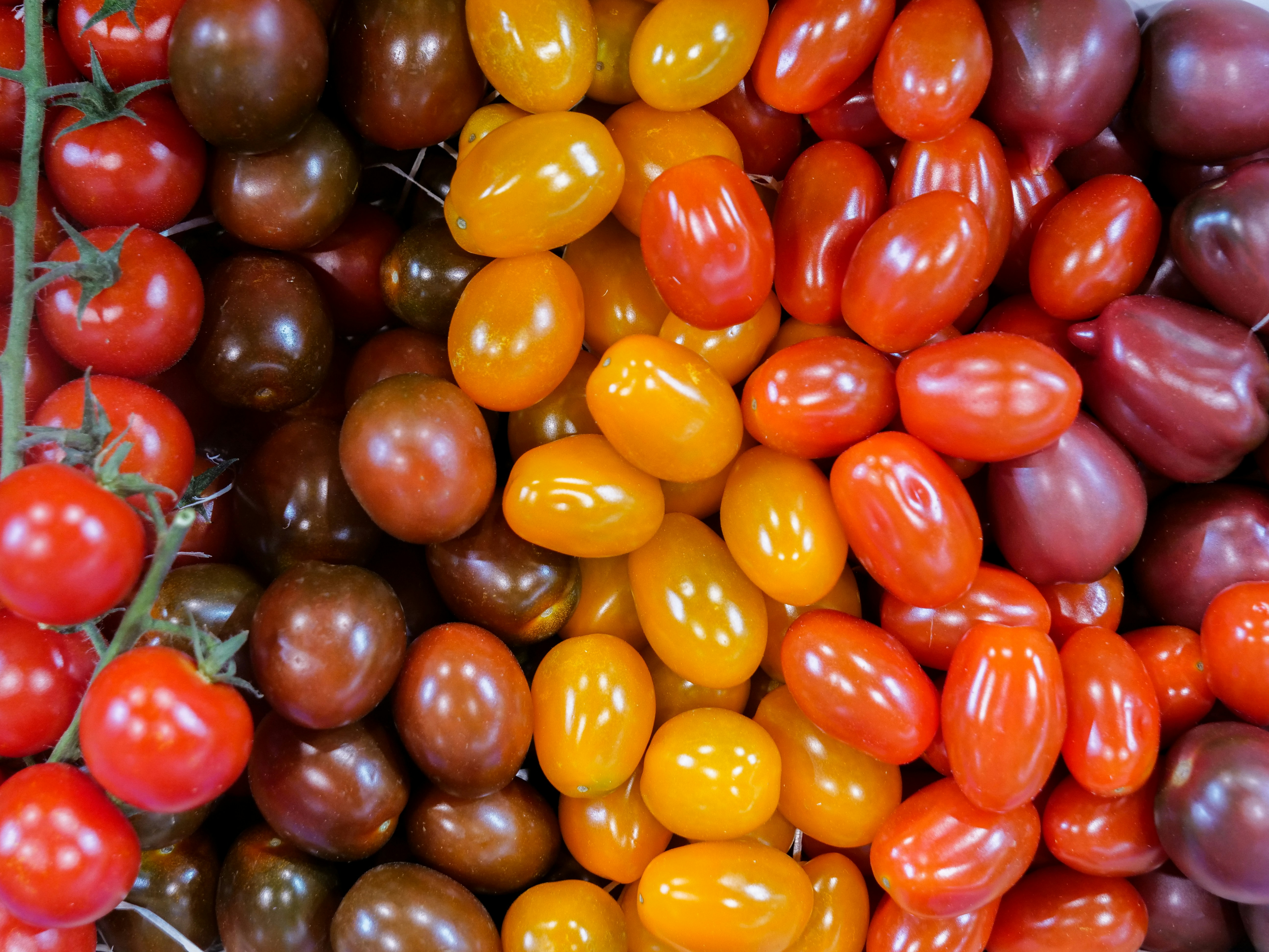 Photo by nebulargroup