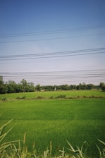 Aerial view of a modern power grid with transmission lines and green fields.