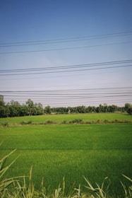 Aerial view of a modern power grid with transmission lines and green fields.