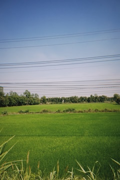 A high-voltage power line stretching across a green landscape.
