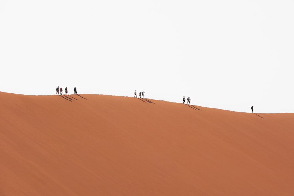 a group of people walking on a sand dune