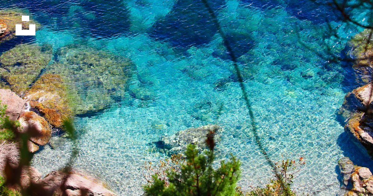 Un mar azul con rocas y plantas foto – Imagen de Rayol-Canadel-sur-Mer ...