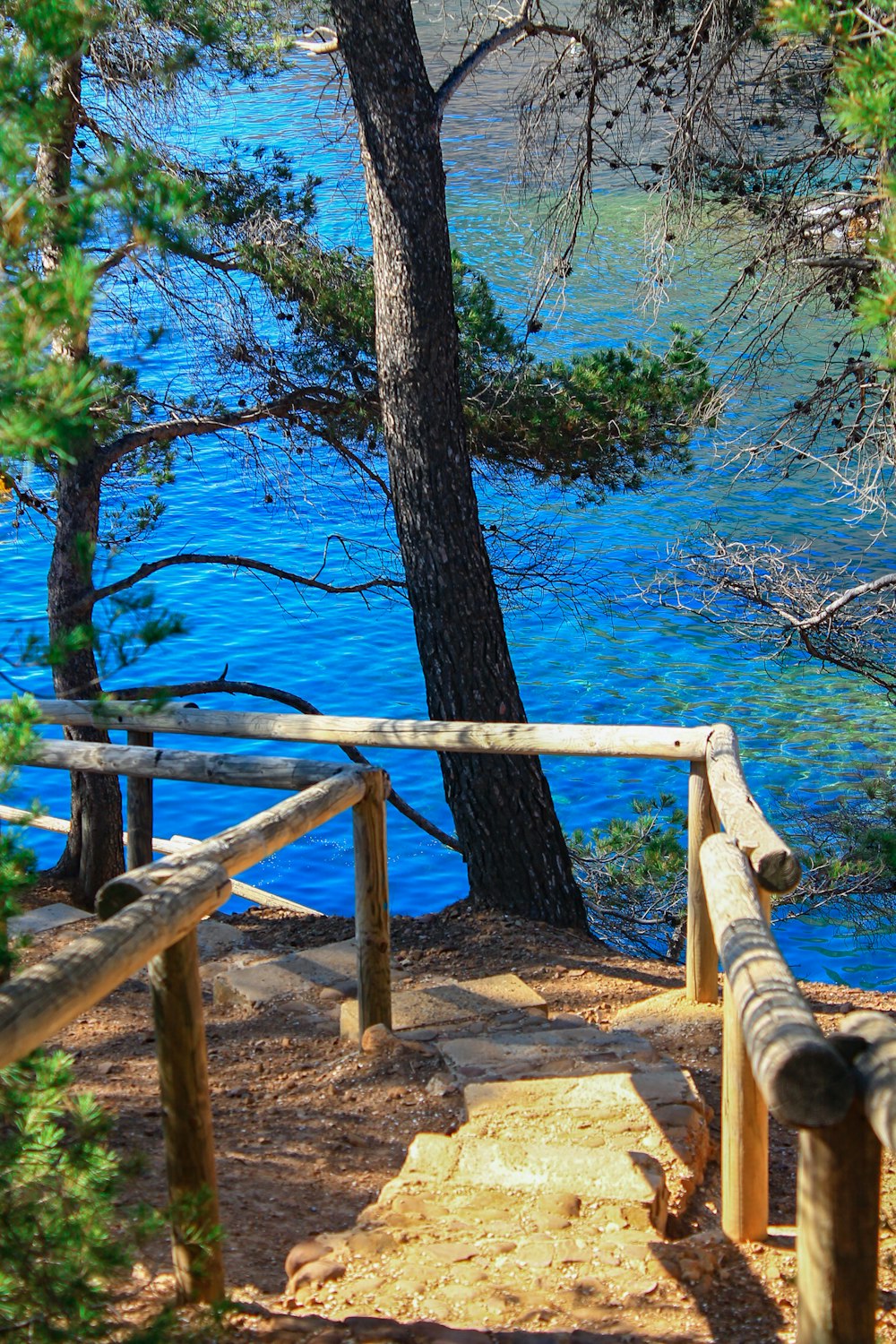 a wooden bridge over a body of water