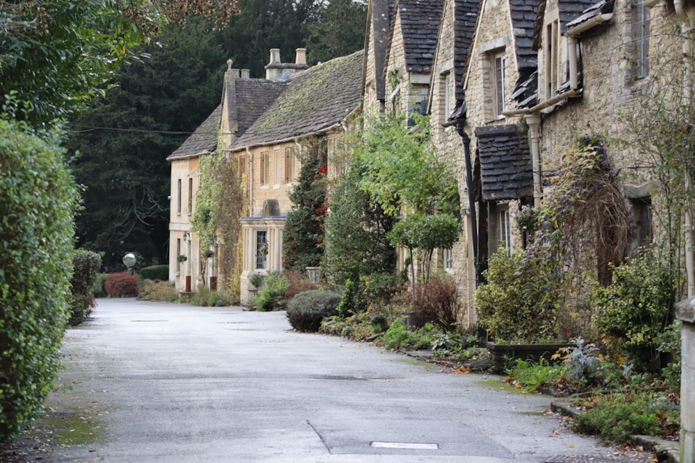 a road with trees and bushes on the side