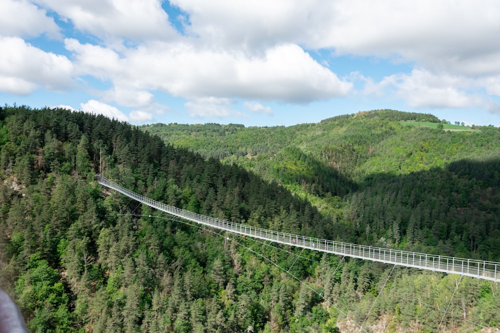 a long white bridge over a forest