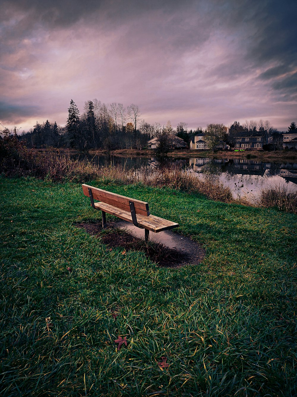 a bench in a park