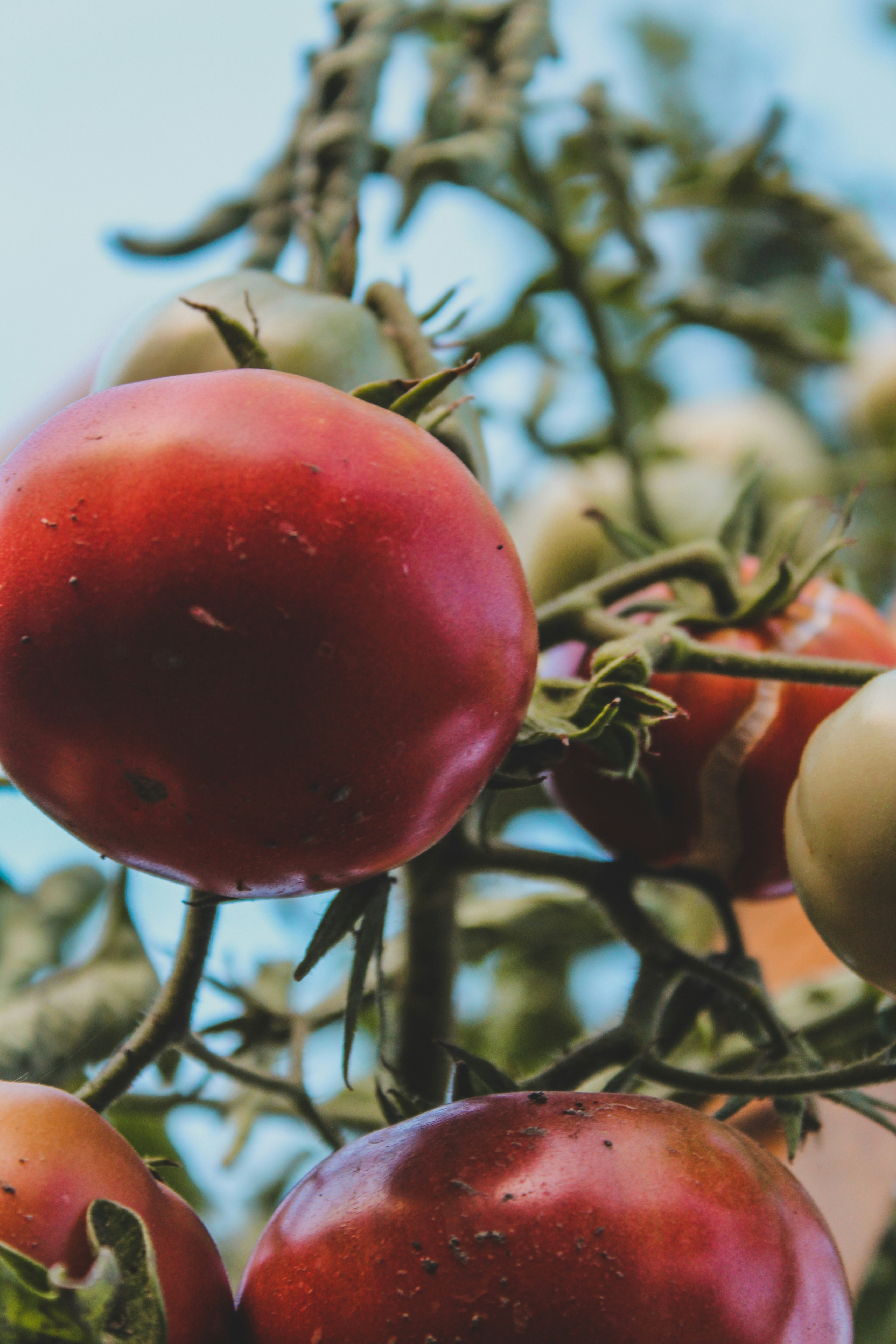 Photo by czapp_arpad