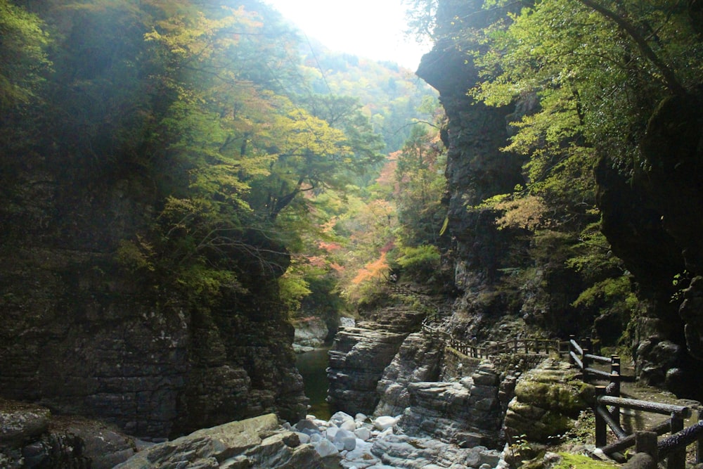 a river running through a valley