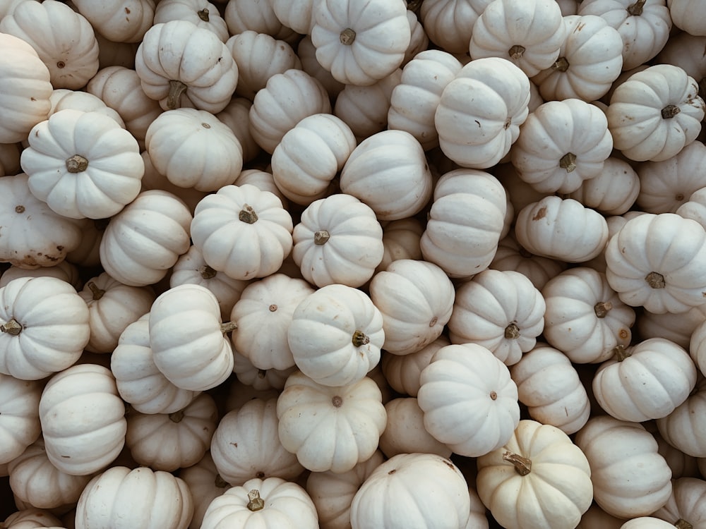 Un grupo de flores blancas