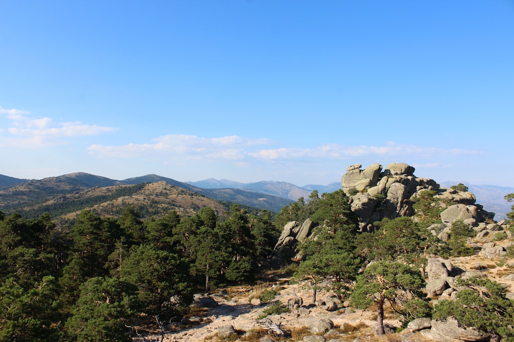 a rocky landscape with trees and mountains in the background