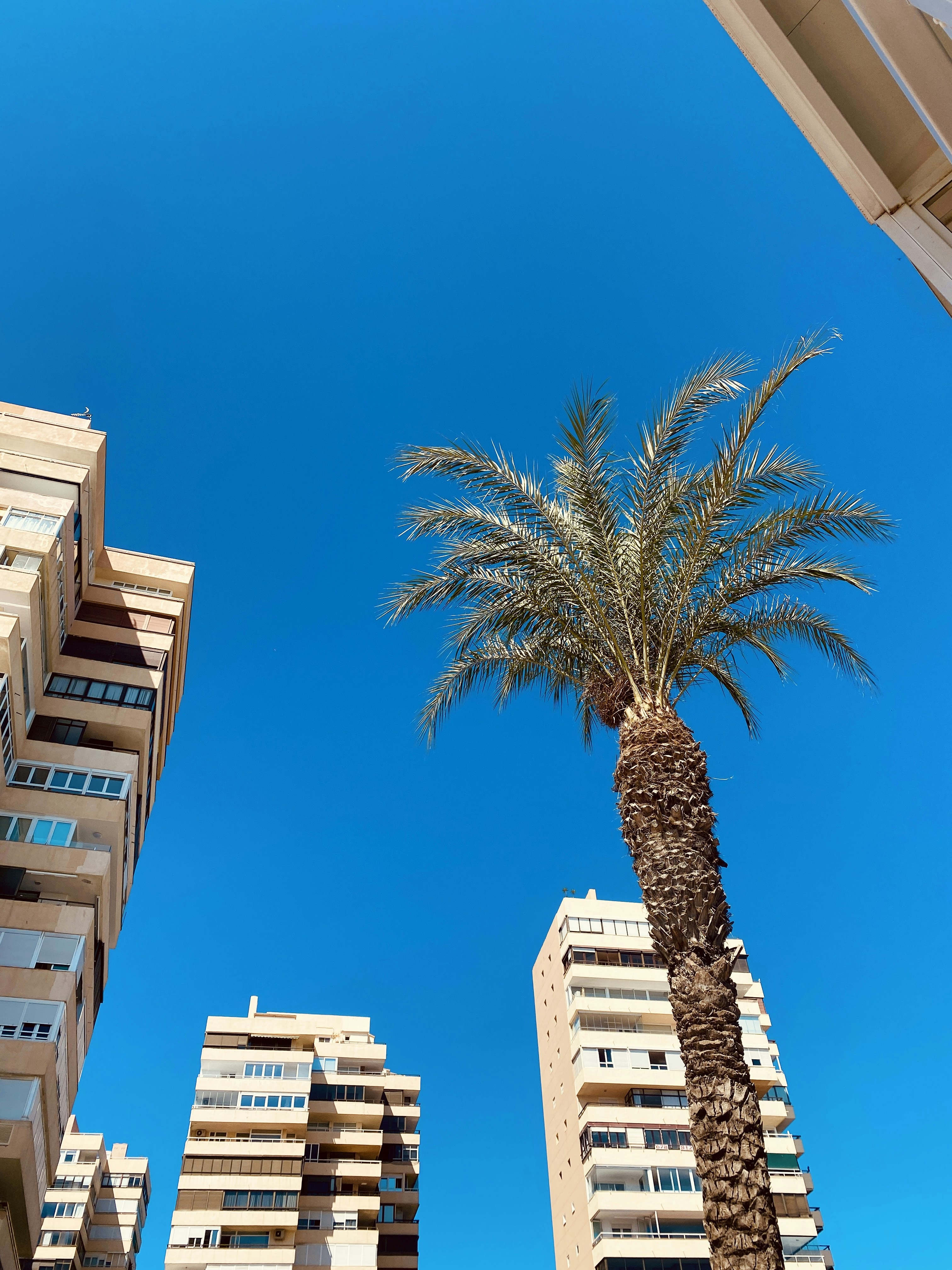 Photo by andrecageorgiana