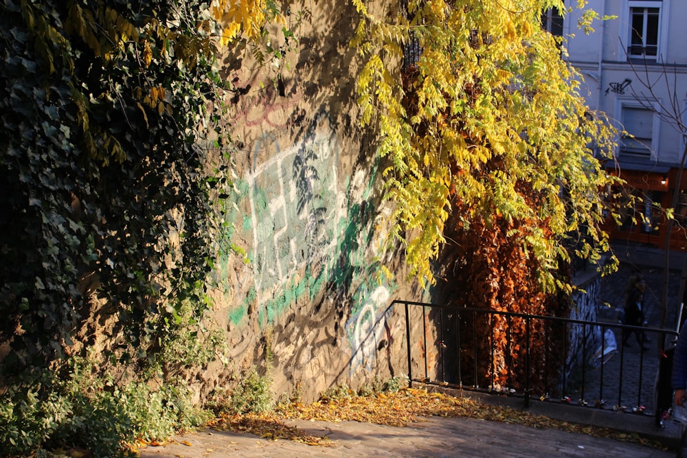 a fence and trees with a building in the background