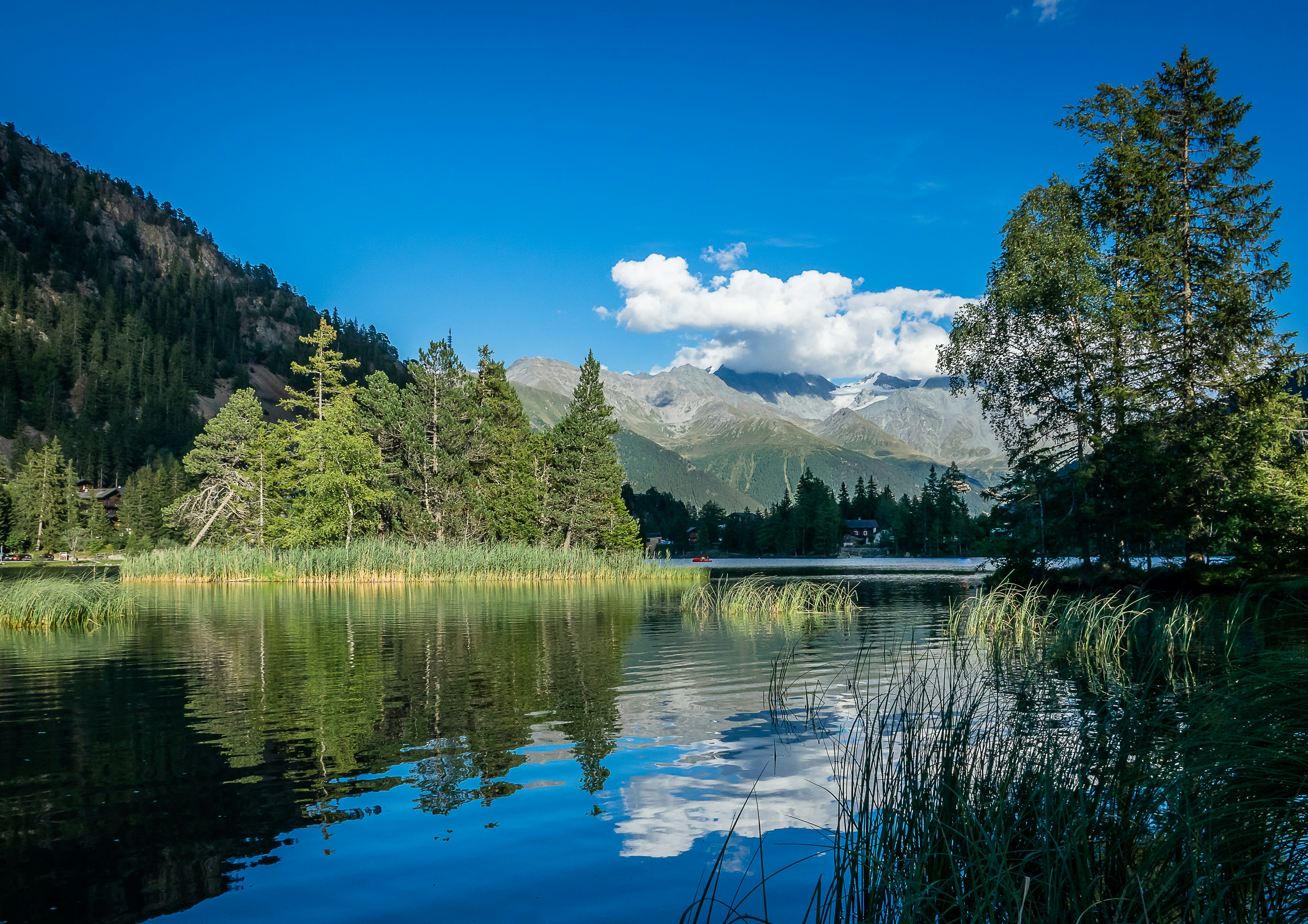 Photo by norfolkboy14