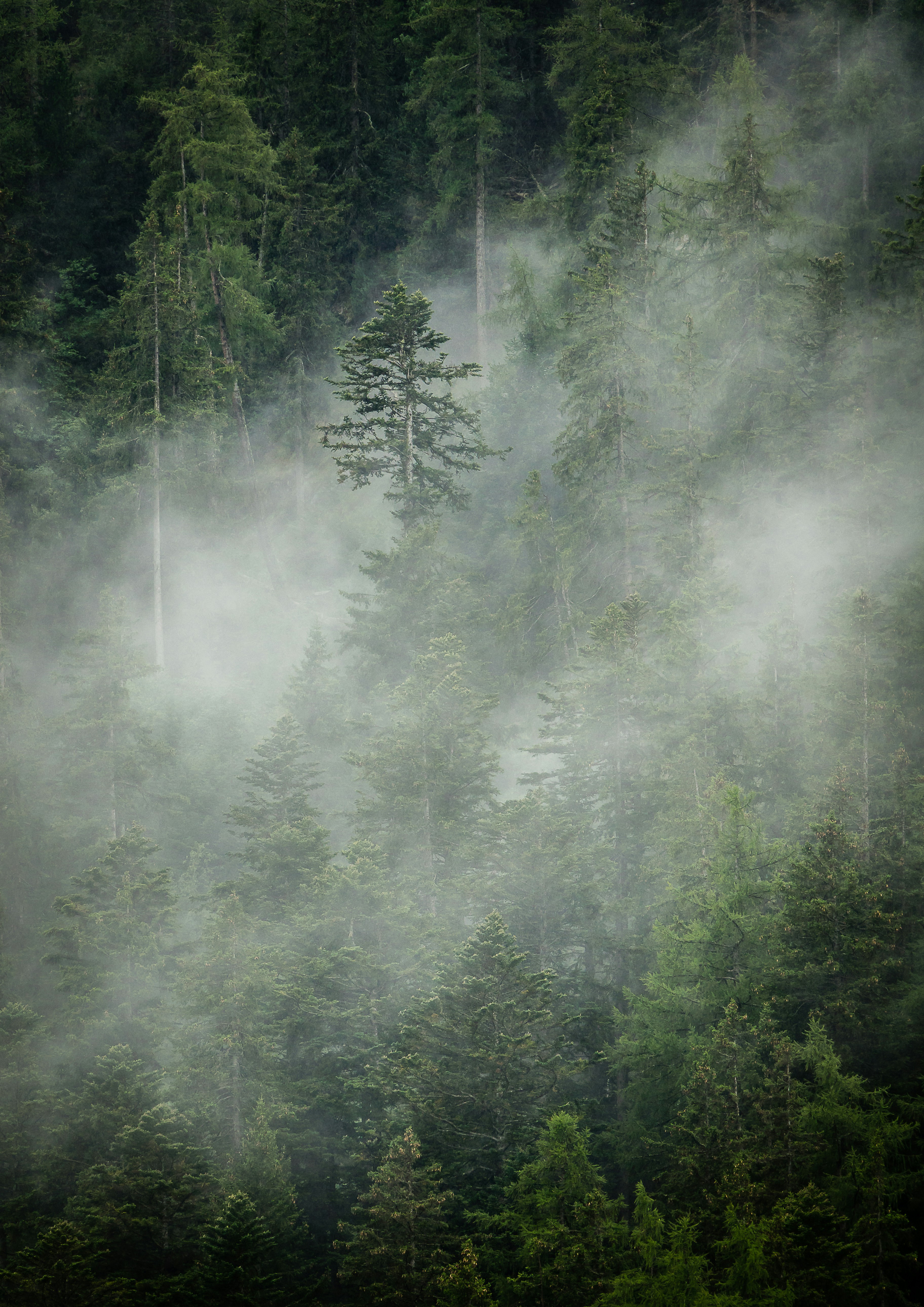 Photo by norfolkboy14