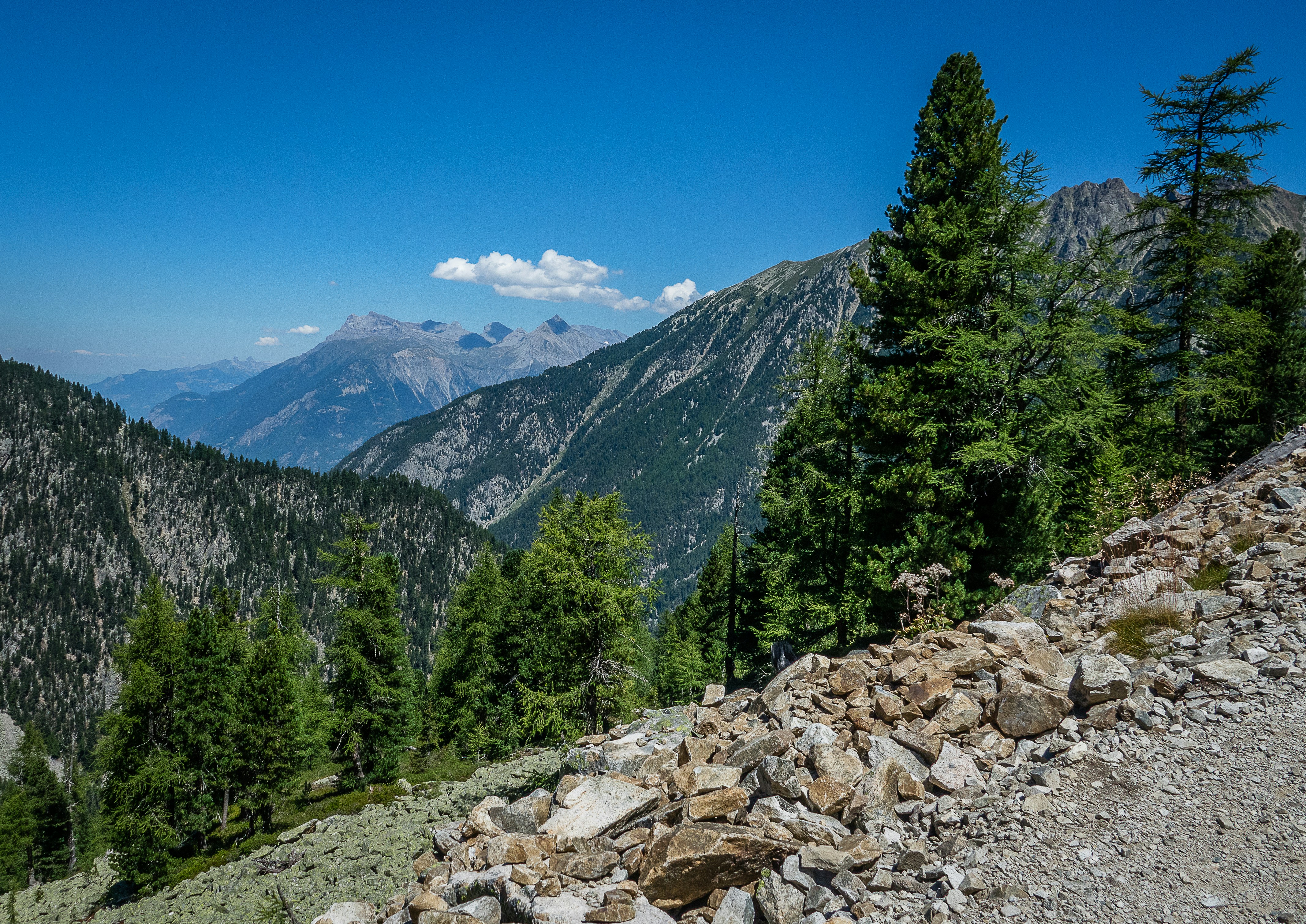 Photo by norfolkboy14