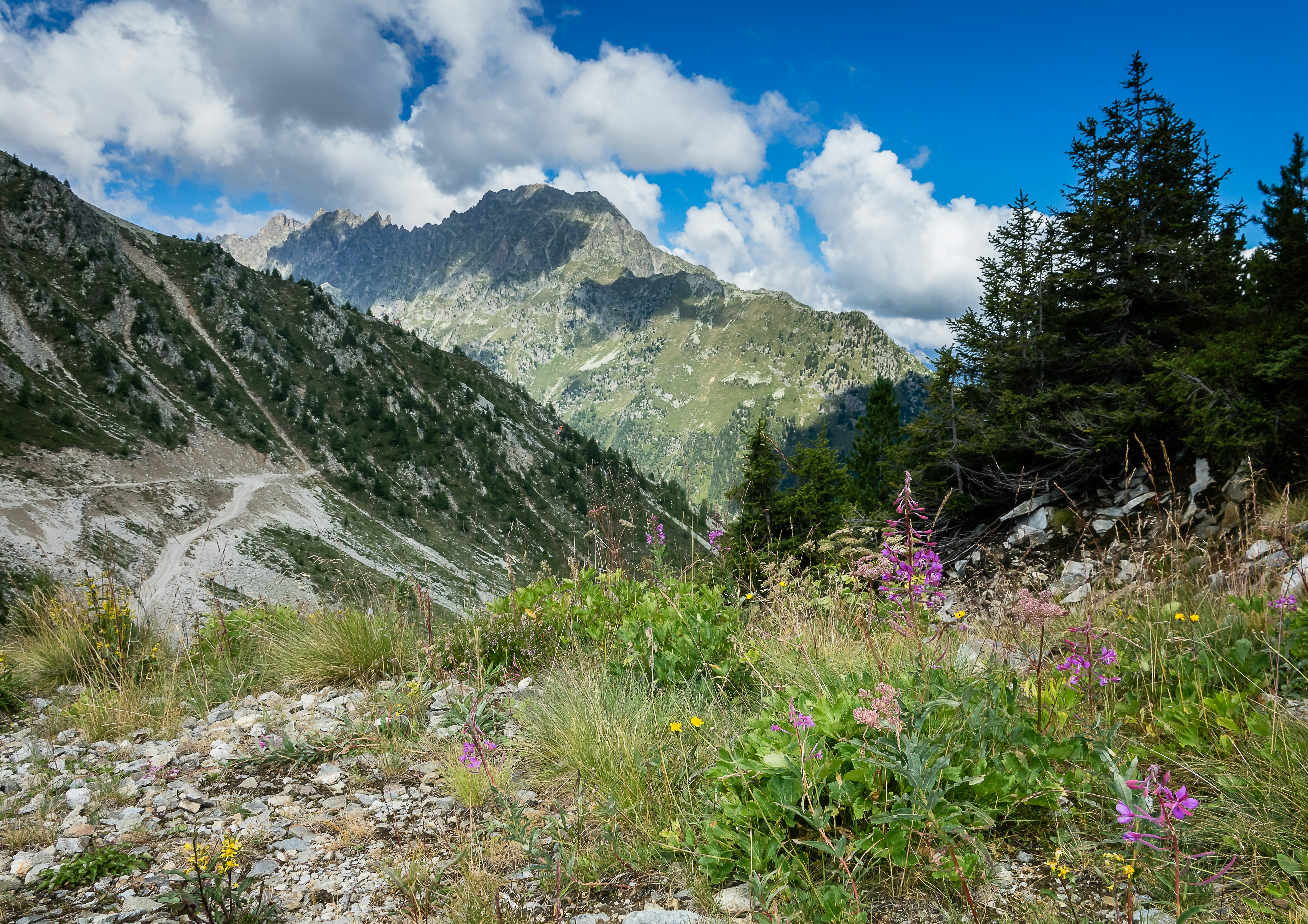 Photo by norfolkboy14